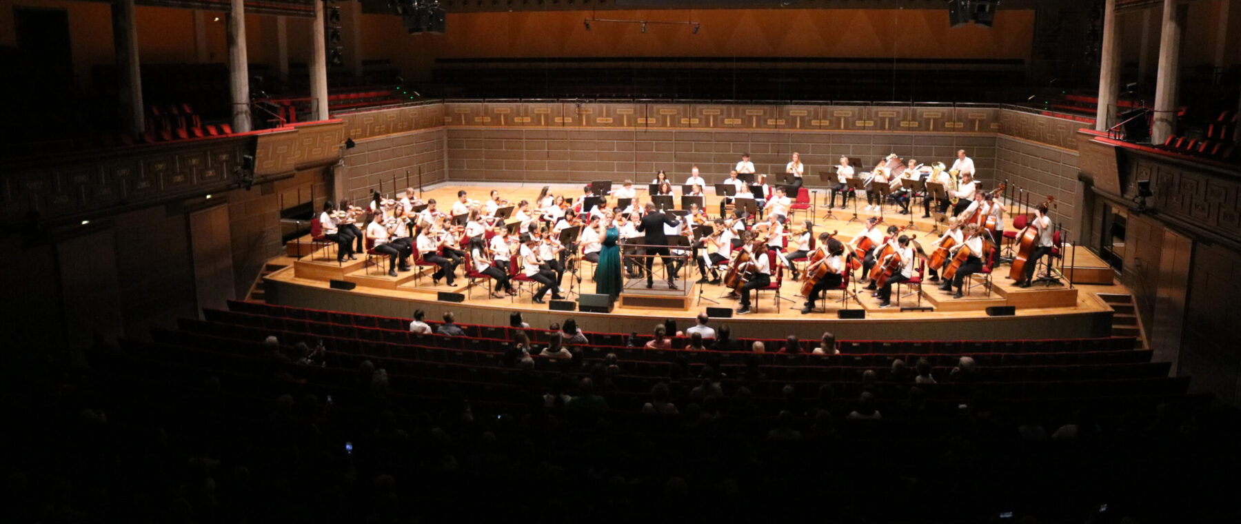 Till vardags spelar hon huvudrollen i Sound of Music på Malmö Opera. Men i början av november kom musikalstjärnan tillika medlemmen i UTOM, Frida Modén Treichl, till Konserthuset Stockholm för att gästspela med musiklivets gräsrötter i El Sistema Nationalorkester.